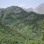 Arnica Tano Di Grich * Cesani