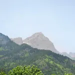 Arnica Tano Di Grich