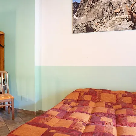 Arnica Tano Di Grich *