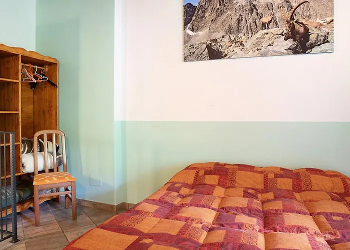 Arnica Tano Di Grich *